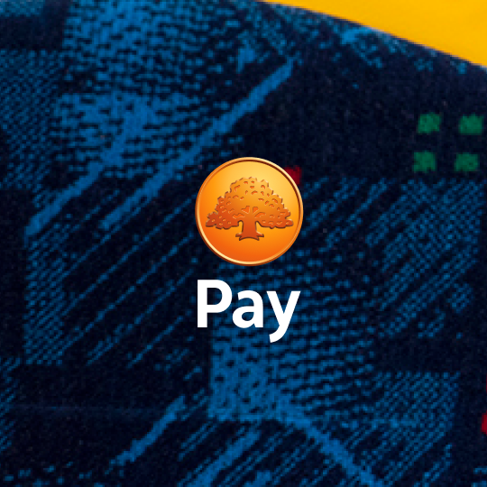Swedbank Pay logo with white text on dark image background.